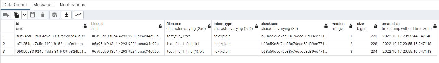 20 blob version partitions