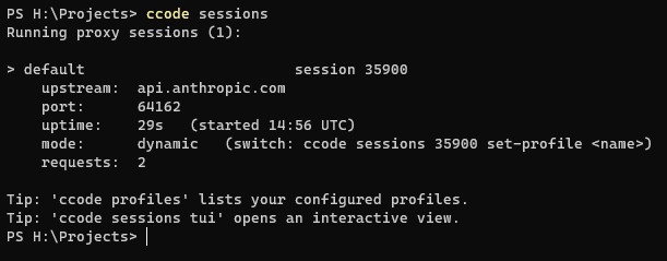17-ccode-cli-proxy
