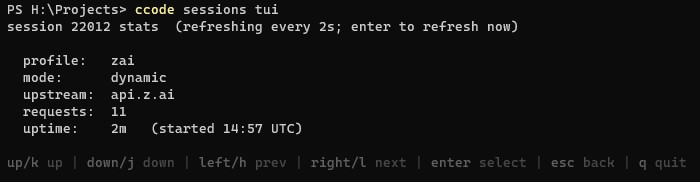 19-ccode-cli-proxy-switcher