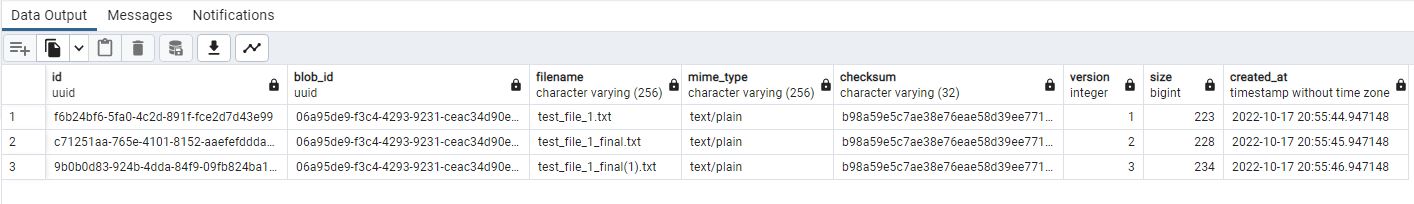 20 blob version partitions