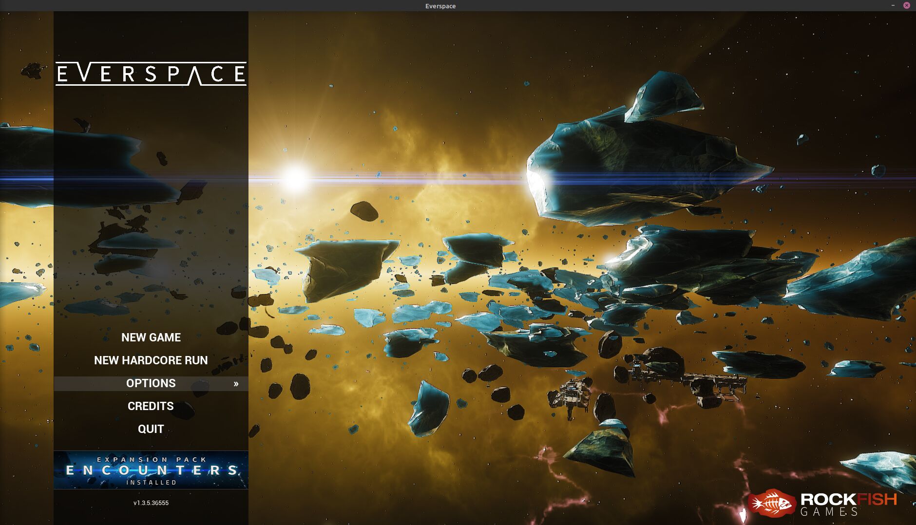 Everspace running