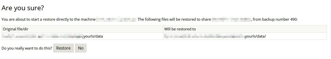 restore backup confirm