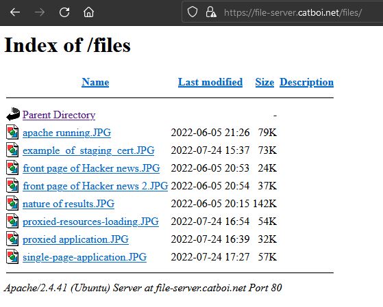 file server example