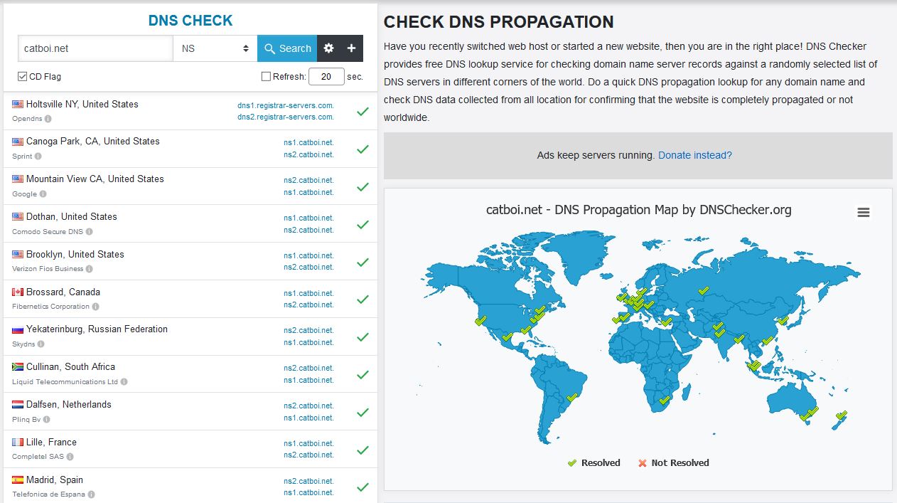 dns propagation example