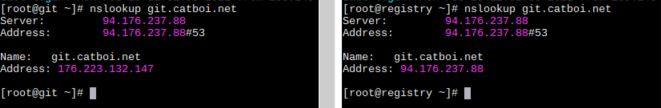 split dns example