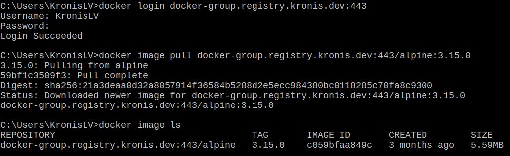 12 docker registry